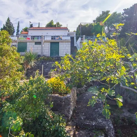 펜션 Holiday House Nera 스프리트스카